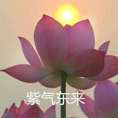 神迹之门游戏(暂未上线)v1.0 安卓版